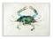 Stupell Industries Blue Sea Crab Over Beige Soft Watercolors Wood Wall Plaque